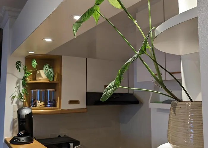 Vista Linda, Vlak Bij Zeedijk En * אוסטנדה